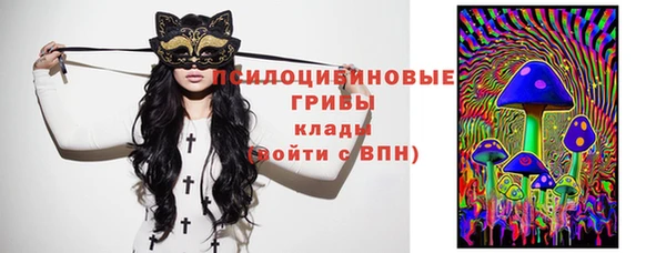 герыч Няндома